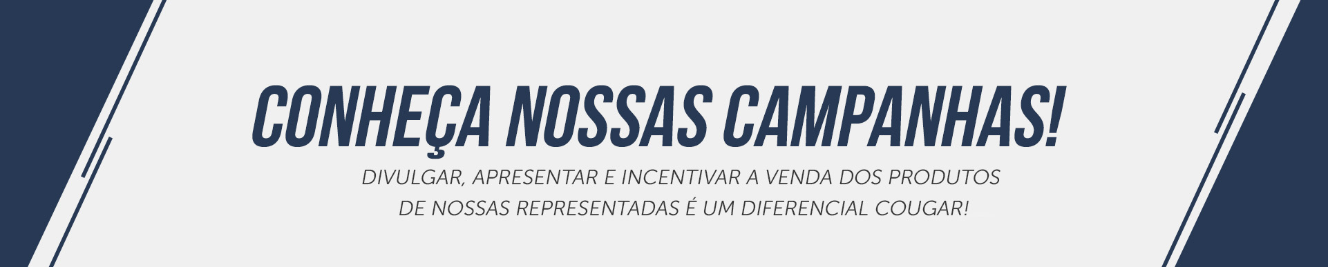 campanhas1